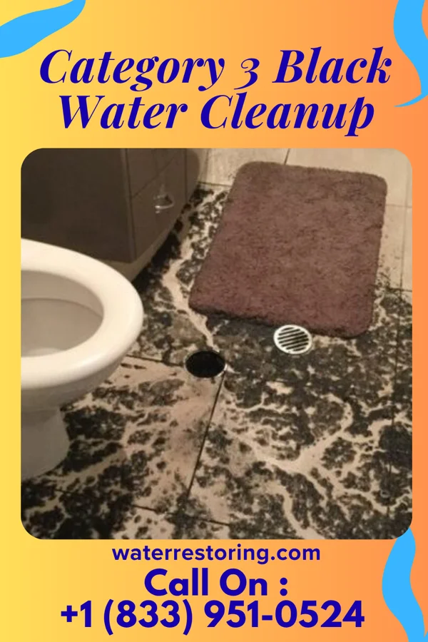 Category 3 Black Water Cleanup in McCool Junction, NE