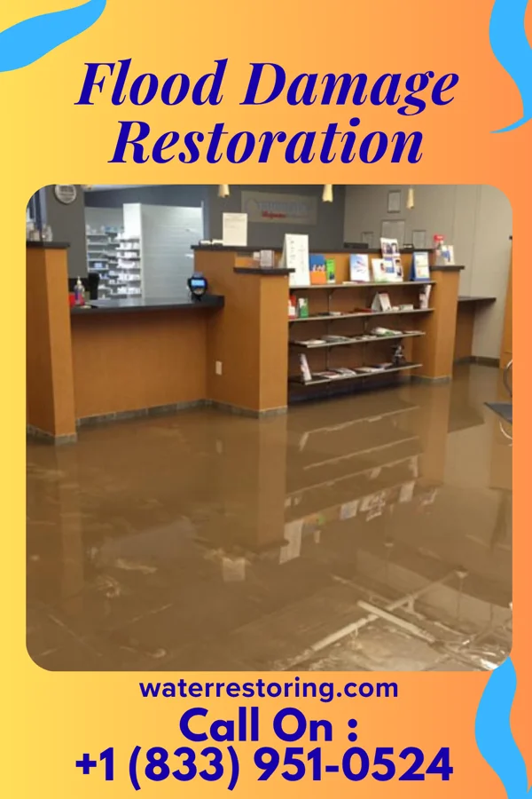 Flood Damage Restoration in McCool Junction, NE