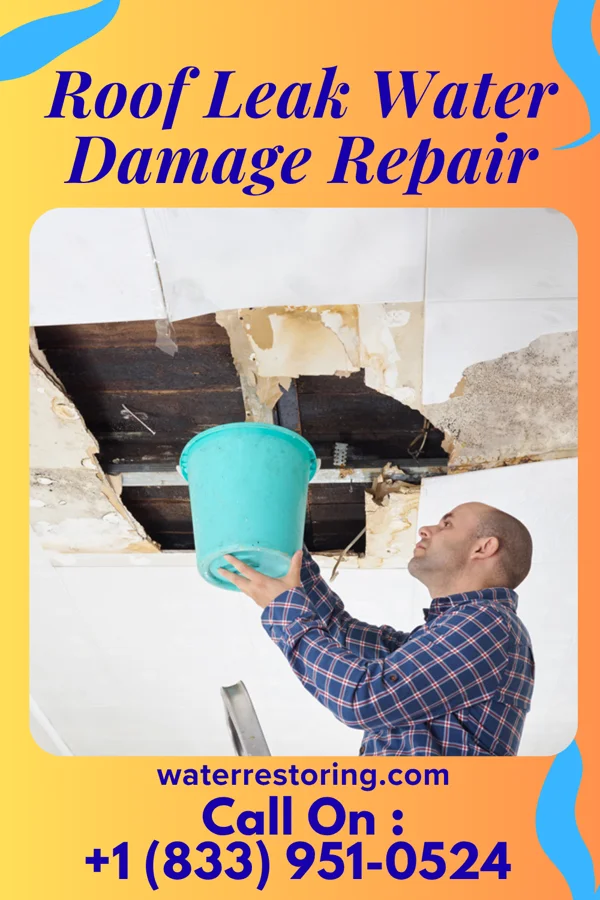 Roof Leak Water Damage Repair in McCool Junction, NE